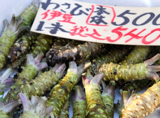 Fresh wasabi root in Tsukiji